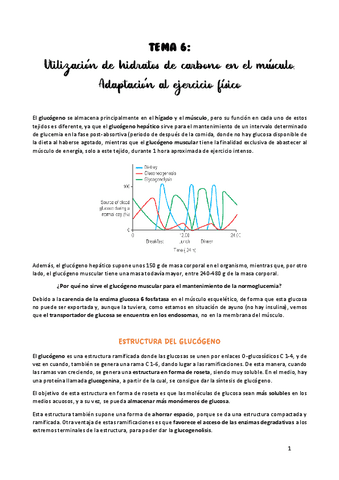 TEMA-6.pdf