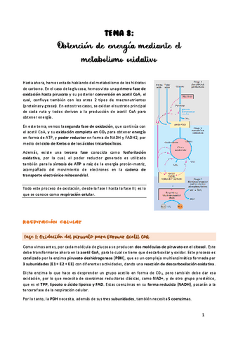 TEMA-8.pdf