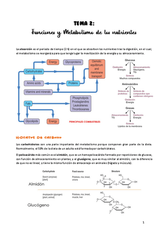 TEMA-2.pdf