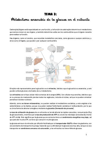 TEMA-3.pdf