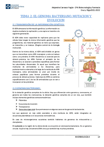 Apuntes-TEMA-2-El-Genoma-Bacteriano.-Mutacion-y-Evolucion.pdf