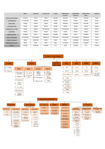 Esquemas-neuropsicologia.pdf