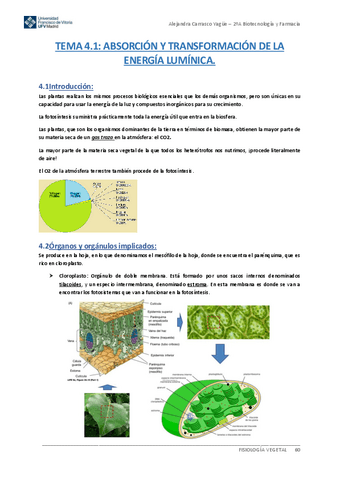 Apuntes-TEMA-4.1-Absocion-y-Transformacion-de-la-Energia-Luminica.pdf