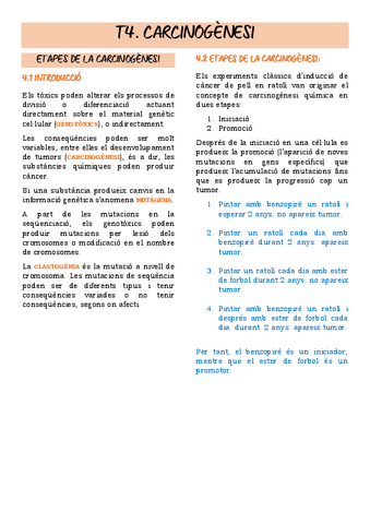 T4.-CARCINOGENESI.pdf