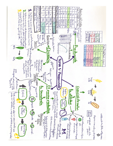 Mapa-t5-Produccion.pdf