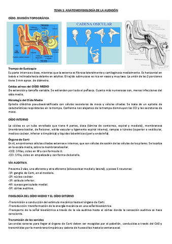 TEMAS-EXPLORACION-DE-LA-AUDICION.pdf