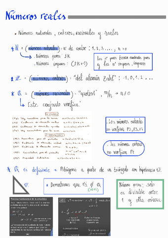 Tema-1-Numeros-reales-y-el-principio-de-induccion.pdf