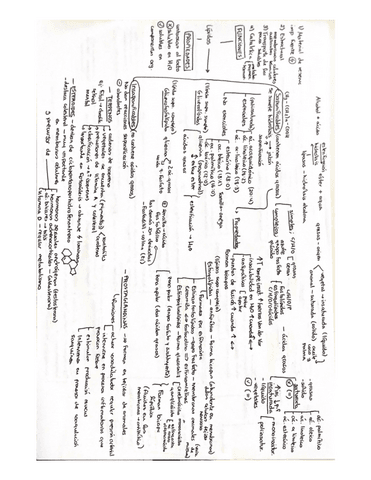 Glucidos-y-Lipidos-esquema-EBAU.pdf
