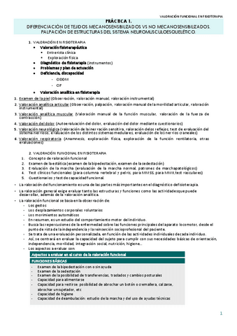 practica-1-val-fun.pdf