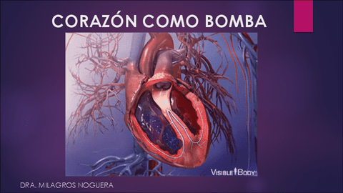 CORAZÓN COMO BOMBA.pdf