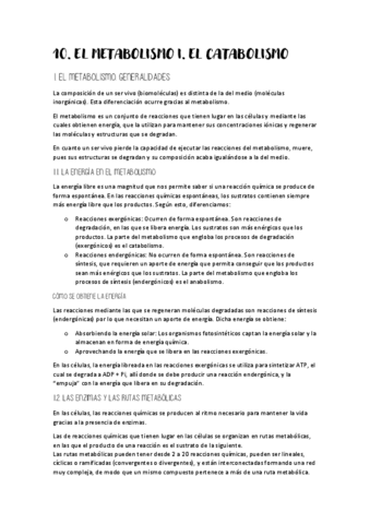 Tema 10 Biología.pdf