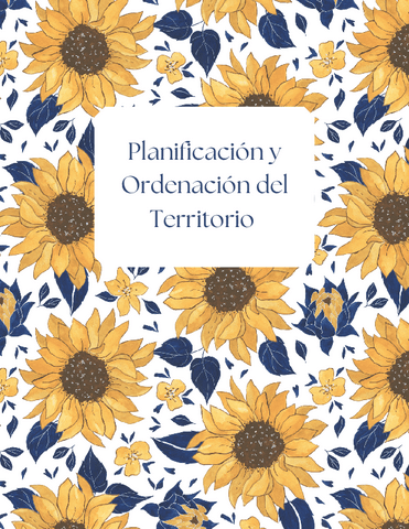 Planificacion-y-Ordenacion-del-Territorio-230109205927.pdf