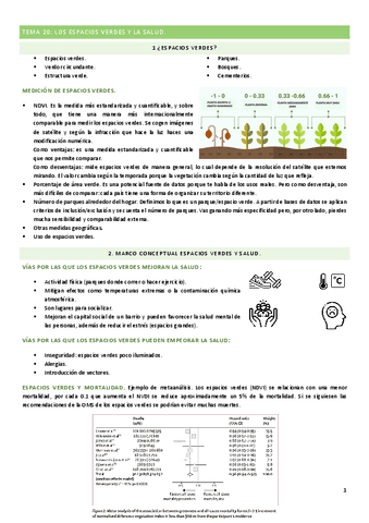 Tema-20.pdf