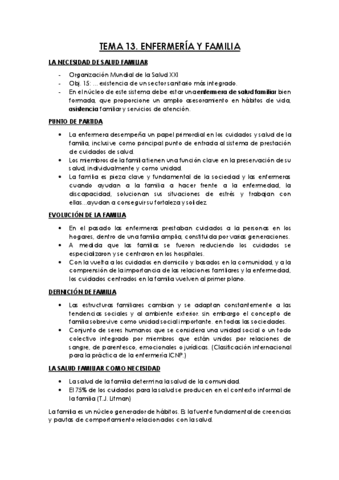 TEMA-13.pdf