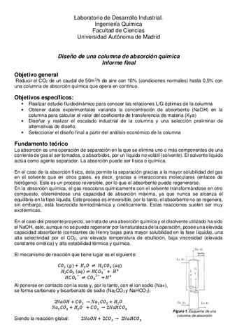 Resumen-final-LDI-Absorcion.pdf