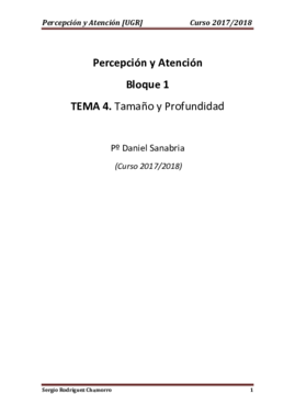 TEMA 4 Percepción.pdf