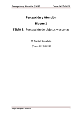 TEMA 3 Percepción.pdf