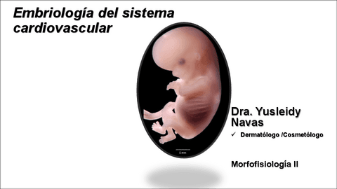 Embriología y anomalías del sistema cardiovascular.pdf