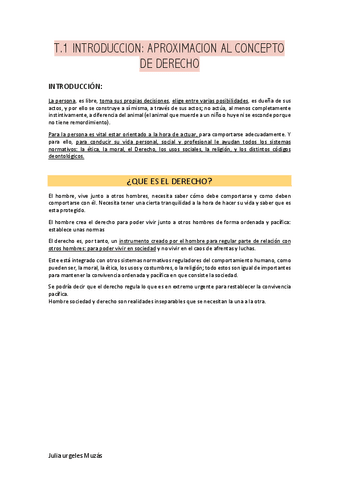 TEMA-1-RESUMEN-PRINCIPIOS-JURIDICOS.pdf
