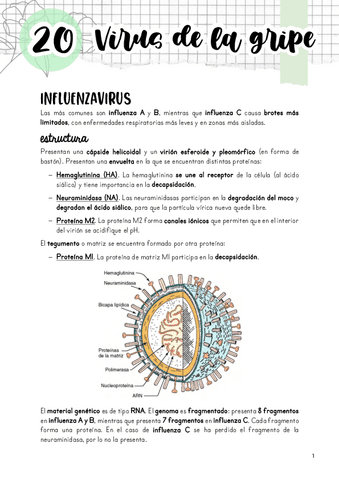 Tema-20.-Virus-de-la-gripe.pdf