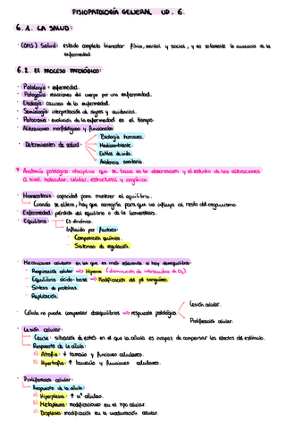 Fisiopatologia-UD6.pdf