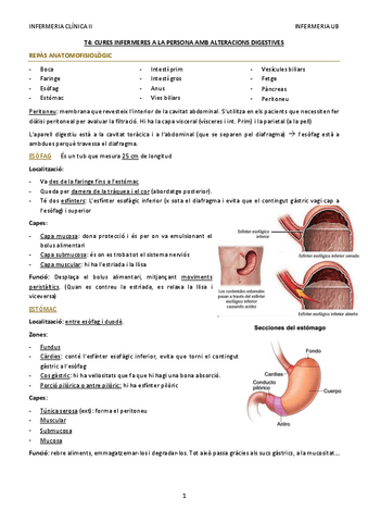 T4-digestiu.pdf