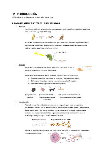 T-1.-Introduccion (Biología).pdf