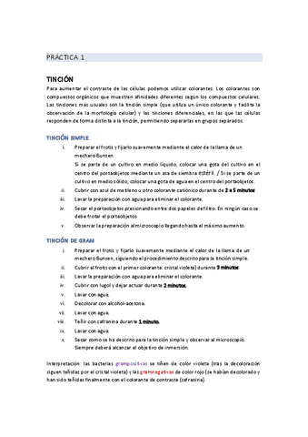 RESUMEN-1a-practica (LAB Biología).pdf