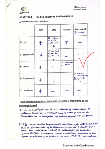 Correccion-2a-practica (LAB Biología).pdf