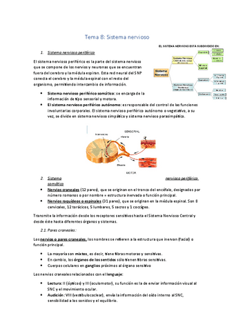 Tema-8-parte-I.pdf