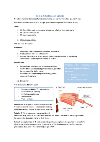 Tema-2.pdf