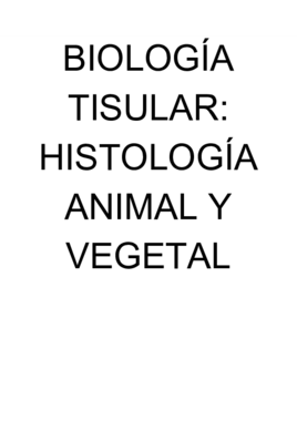 IMÁGENES TISULAR (1).pdf