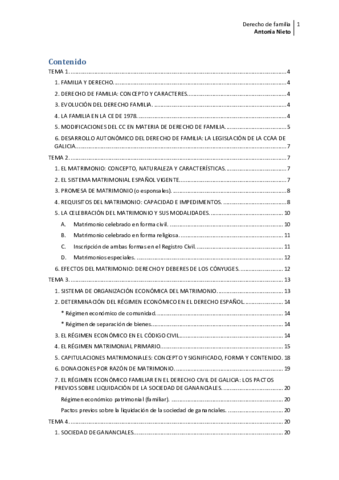 Derecho de Familia; curso 2016-2017.pdf