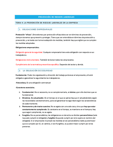 tema-4-prevencion.pdf