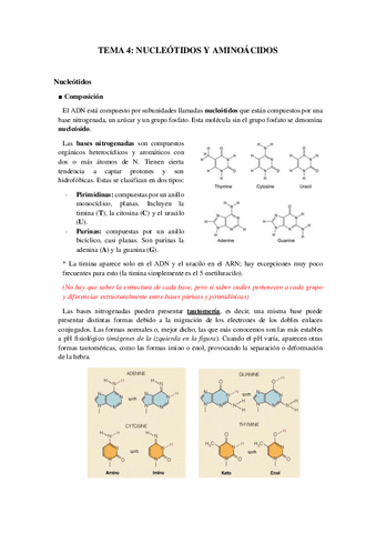 Tema-4-Nucleotidos-y-aminoacidos.pdf