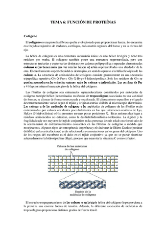 Tema-6-Funcion-de-proteinas.pdf