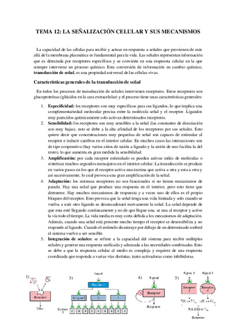 Tema-12-Senalizacion.pdf
