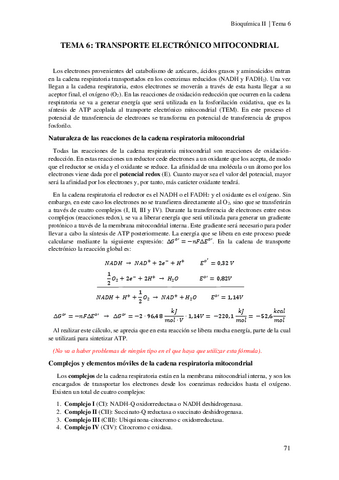Tema-6-Transporte-electronico-mitocondrial.pdf