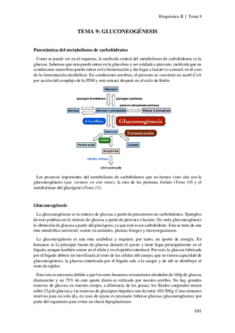 Tema-9-Gluconeogenesis.pdf