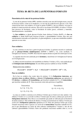 Tema-10-Ruta-de-las-Pentosas-Fosfato.pdf