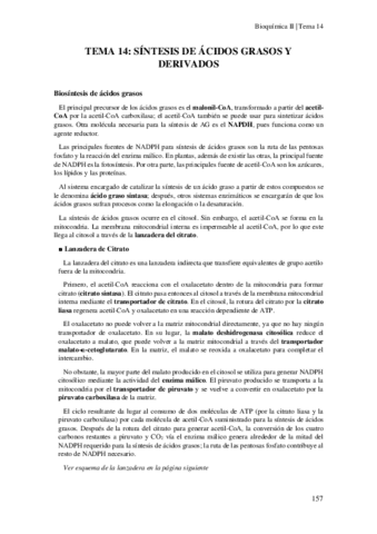 Tema-14-Sintesis-de-acidos-grasos-y-sus-derivados.pdf