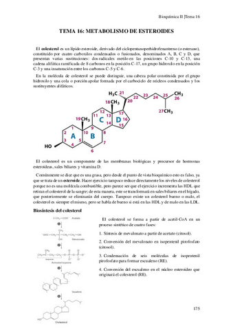 Tema-16-Metabolismo-de-los-esteroides.pdf
