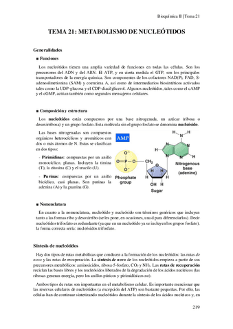 Tema-21-Metabolismo-de-nucleotidos.pdf