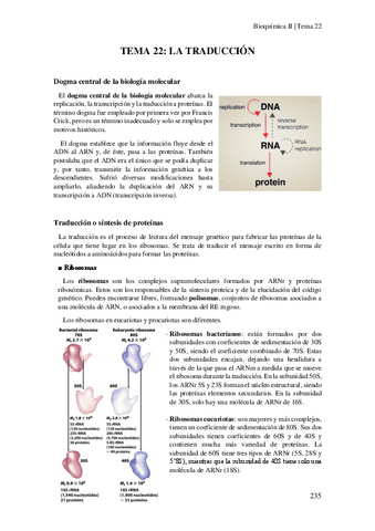 Tema-22-La-Traduccion.pdf