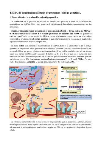 Genetica-I-TEMA-8.pdf