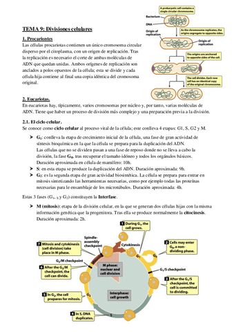 Genetica-I-TEMA-9.pdf