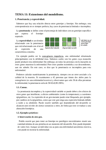 Genetica-I-TEMA-11.pdf