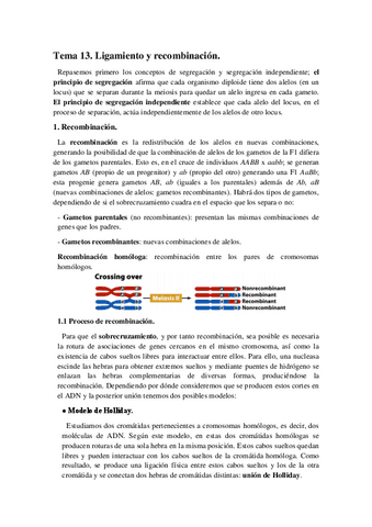 Genetica-I-TEMA-13.pdf
