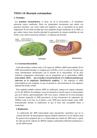 Genetica-I-TEMA-14.pdf
