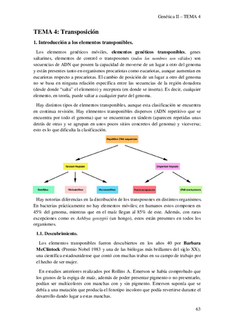 Genetica-II-TEMA-4.pdf